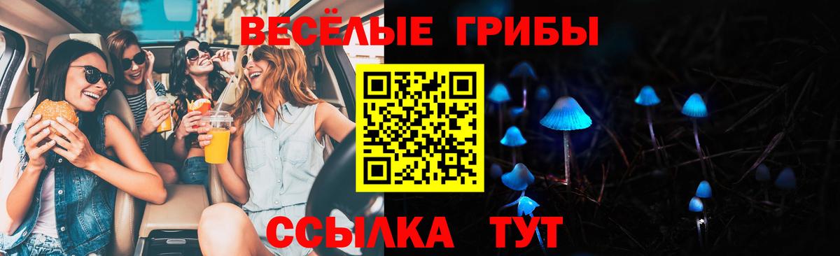 Псилоцибиновые грибы Cubensis  Галлюциногенные грибы прущие грибы  Сибай  Вход с VPN 